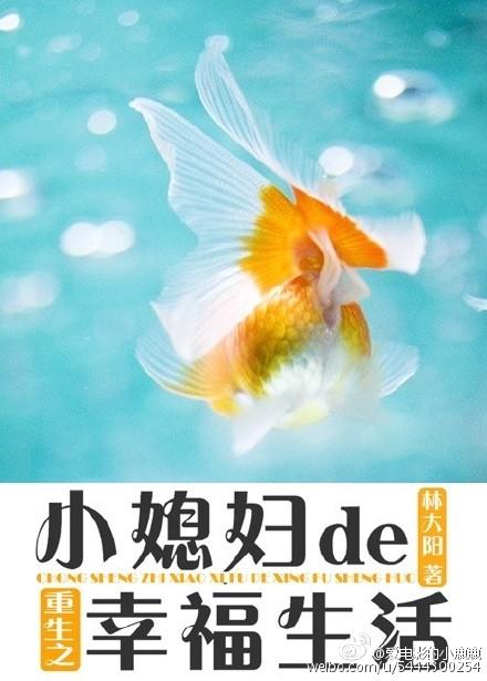 重生之小媳妇新浪 重生之小媳妇新浪